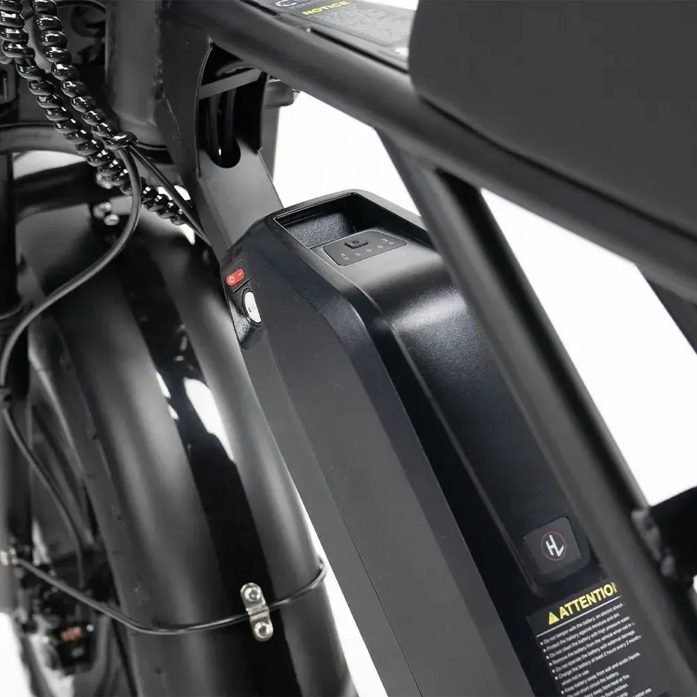 h9 accu fatbike